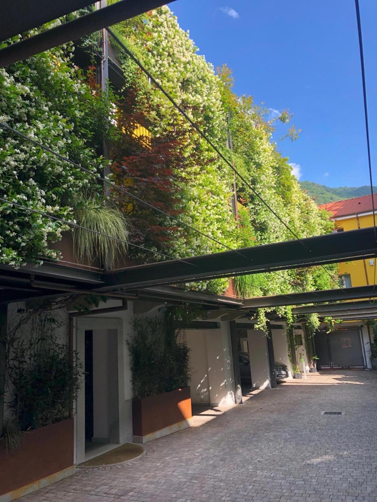 Residence Casa Coppa Appartamento Iris Omegna Kültér fotó