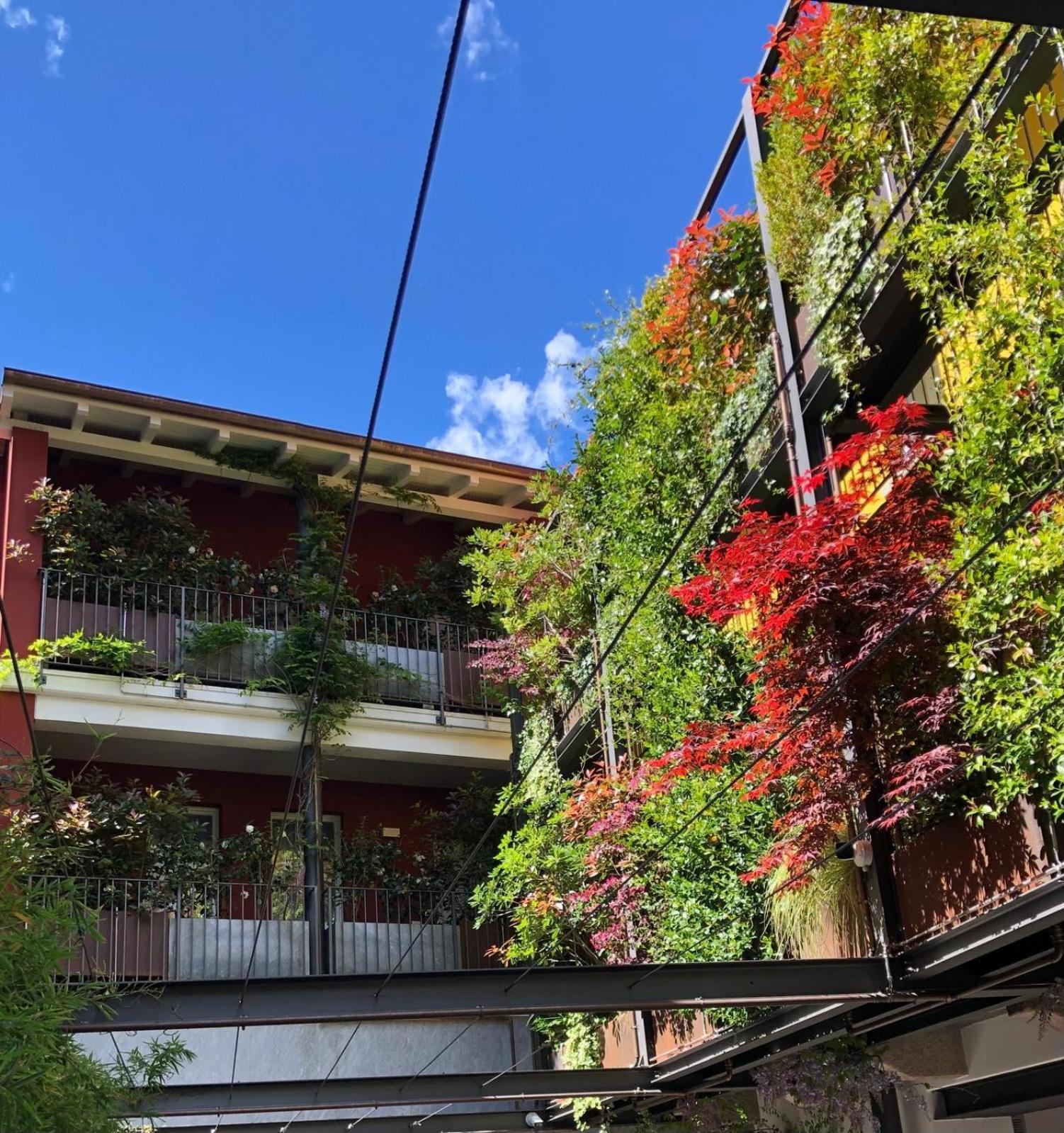 Residence Casa Coppa Appartamento Iris Omegna Kültér fotó